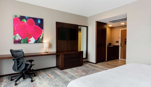 Deluxe Room, 1 King Bed