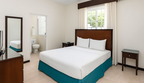 Single Room, 1 Queen Bed, Roll-in Shower