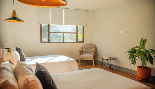 Standard Twin Room