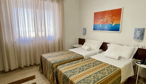 Basic Double or Twin Room
