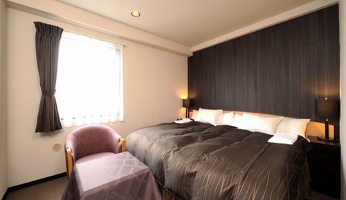 [Non-Smoking] Double Room (Single Use)