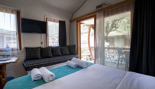 Design Cabin, 1 Queen Bed, Non Smoking, Courtyard View