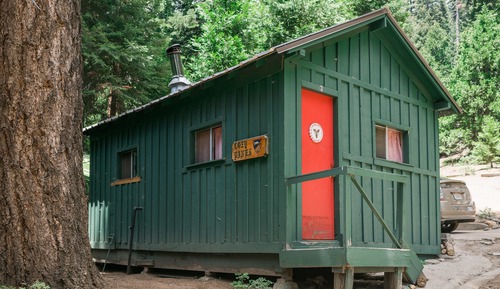 Cozy Pines