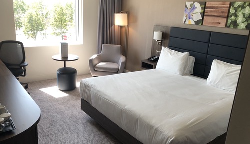 Room, 1 King Bed