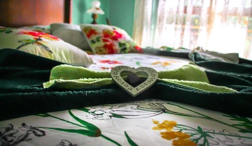 Economy Double Room, Mountain View