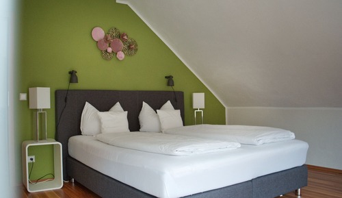 Panoramic Apartment, Private Bathroom, River View (Studio Suite)