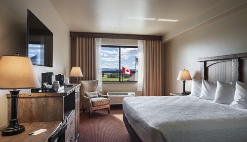 Room, 1 King Bed, Non Smoking