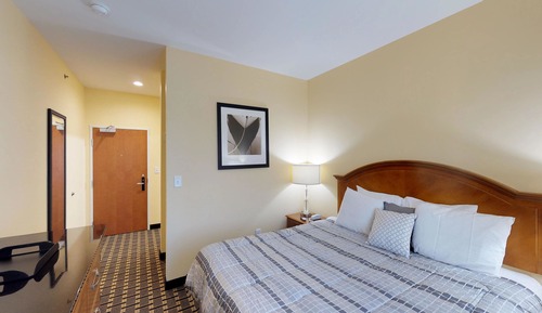 Traditional Room, 1 King Bed, Accessible