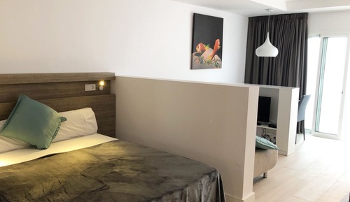 Junior Studio Suite, 1 King Bed with Sofa bed, Garden View