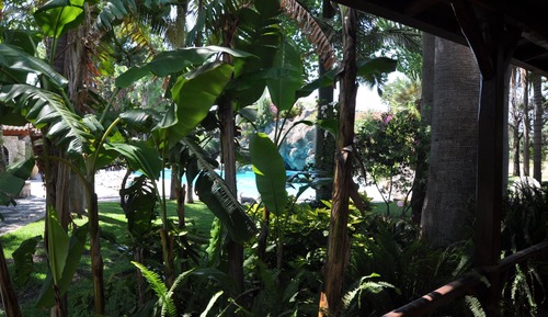 Double Room, Garden View