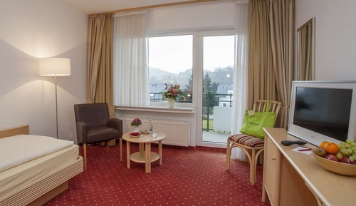 Comfort Single Room