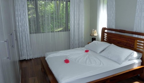 Villa (Hibiscus)