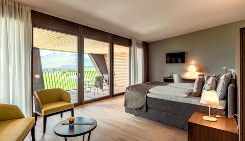 Deluxe Double Room, Balcony, Mountain View