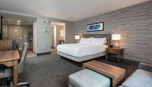 Studio Suite, 1 King Bed