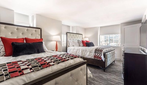 Standard Suite