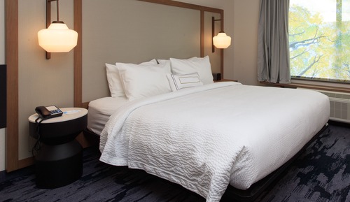 Room, 1 King Bed (Mobility/Hearing Access, Roll-In Shwr)