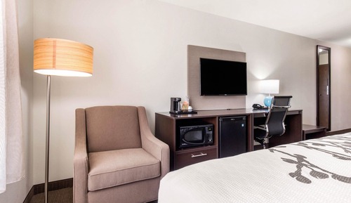 Suite, 1 King Bed with Sofa bed, Non Smoking