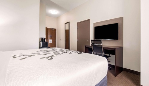 Room, 1 King Bed, Accessible, Non Smoking (Roll-In Shower)