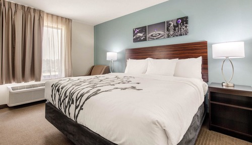 Standard Room, 1 King Bed, Non Smoking