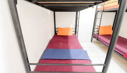 Shared Dormitory, Mixed Dorm (3 Bunk Bed