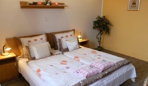 Standard Double or Twin Room, Refrigerator