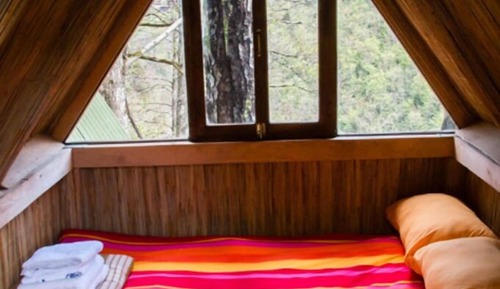 Tree House