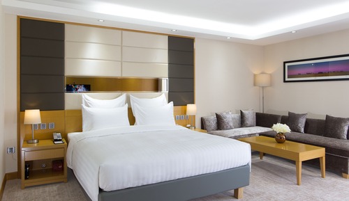 Superior Room, 1 King Bed with Sofa bed