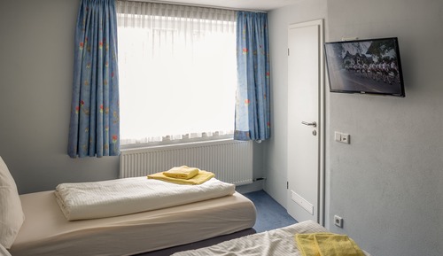 Double or Twin Room
