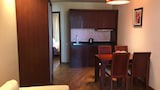 Luxury Apartment