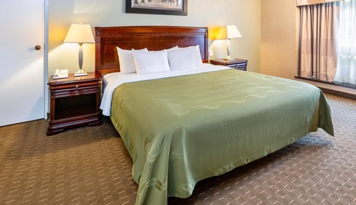 Room, 1 King Bed, Non Smoking