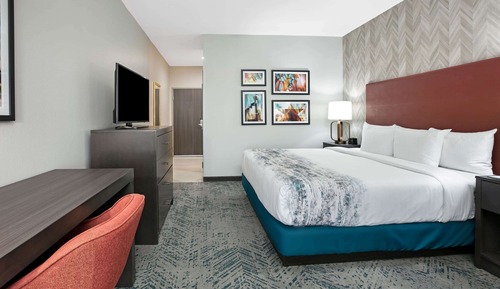 Room, 1 King Bed, Non Smoking