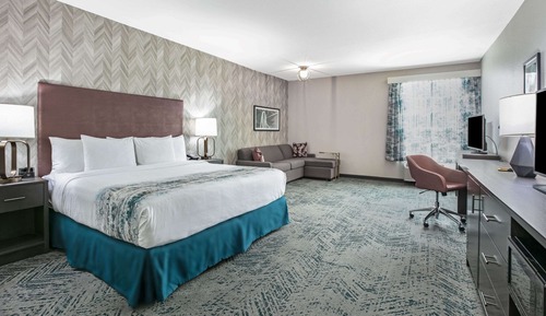Room, 1 King Bed, Accessible, Non Smoking (Mobility,Hearing,Roll-In Shower)