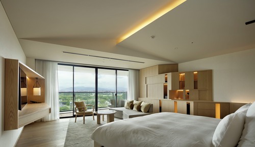 Room, 1 King Bed, Park View (Sky King)