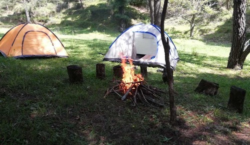 Basic Tent (8 pax)