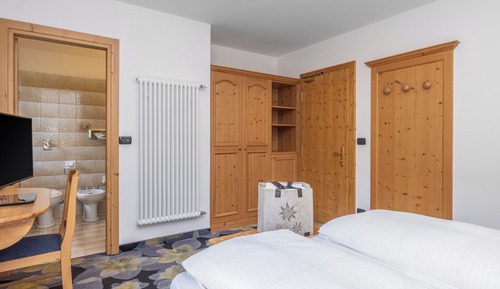 Double or Twin Room, 1 Queen Bed