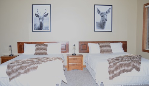 Whitetail Way (Room 3)