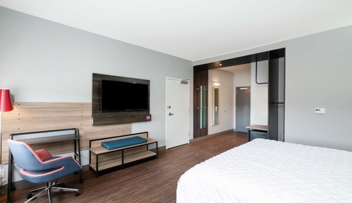 Room, 1 King Bed, Accessible (Roll-In Shower)