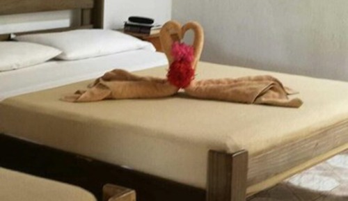 Standard Room, Multiple Beds, Non Smoking