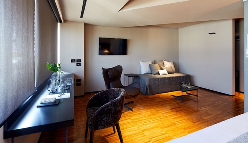 Double Room Single Use (Suite)