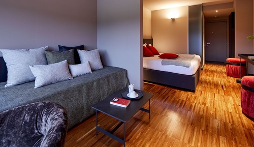 Business Double Room Single Use