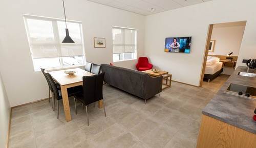 Luxury Apartment