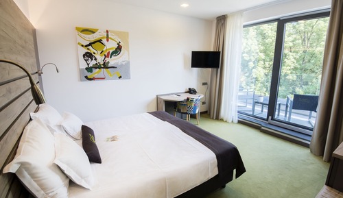  Superior Double or Twin Room with Castle View