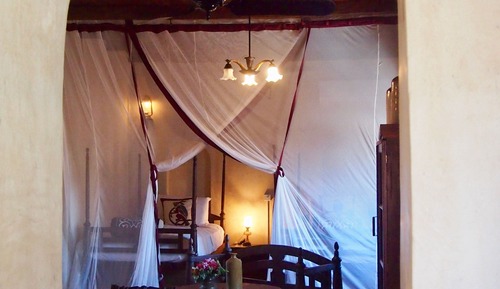 Design Twin Room (Mimi)
