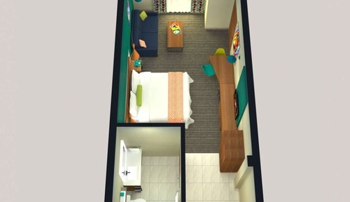 Jr. Suite, 1 King, Sofa Bed