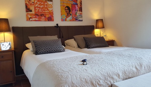 Comfort Double or Twin Room