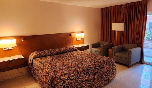 Deluxe Room, 1 King Bed