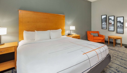 Room, 1 King Bed, Accessible, Non Smoking