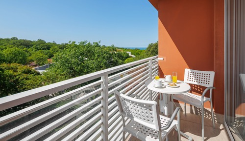 Classic room with French bed and balcony - single use