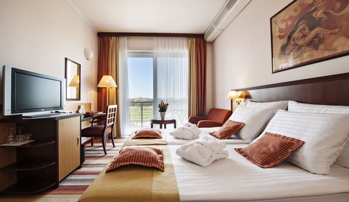 Standard Double or Twin Room, Balcony