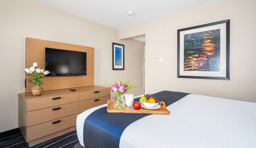 Suite, 1 King Bed, Non Smoking, Refrigerator (with Sofabed)